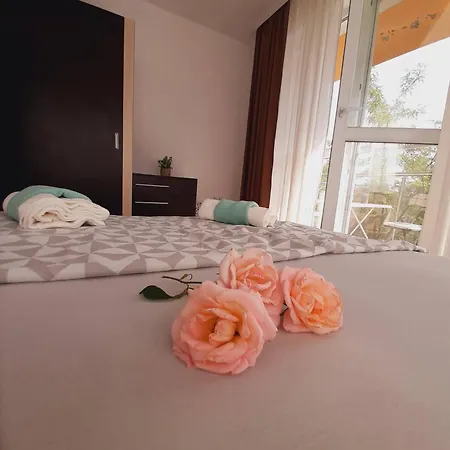 дейзи 2 - теди в Appartement *