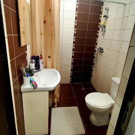 дейзи 2 - теди в Byala (Varna)